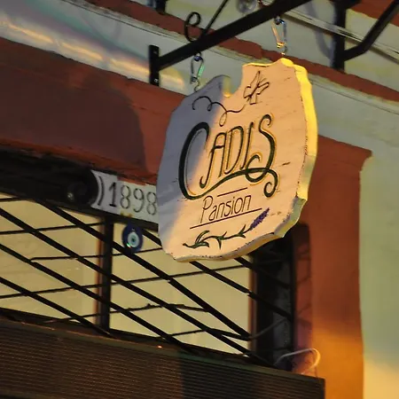 Cadis Ayvalı