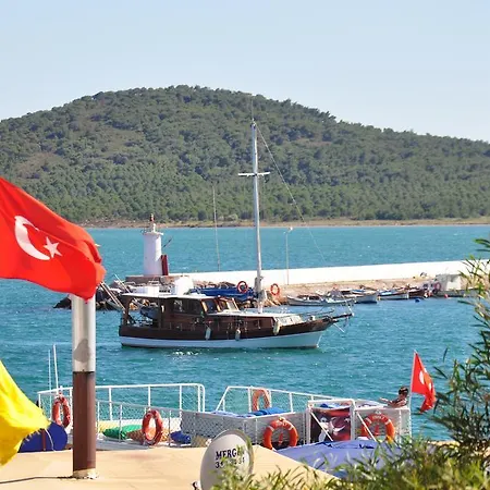 Cadis Ayvalı
